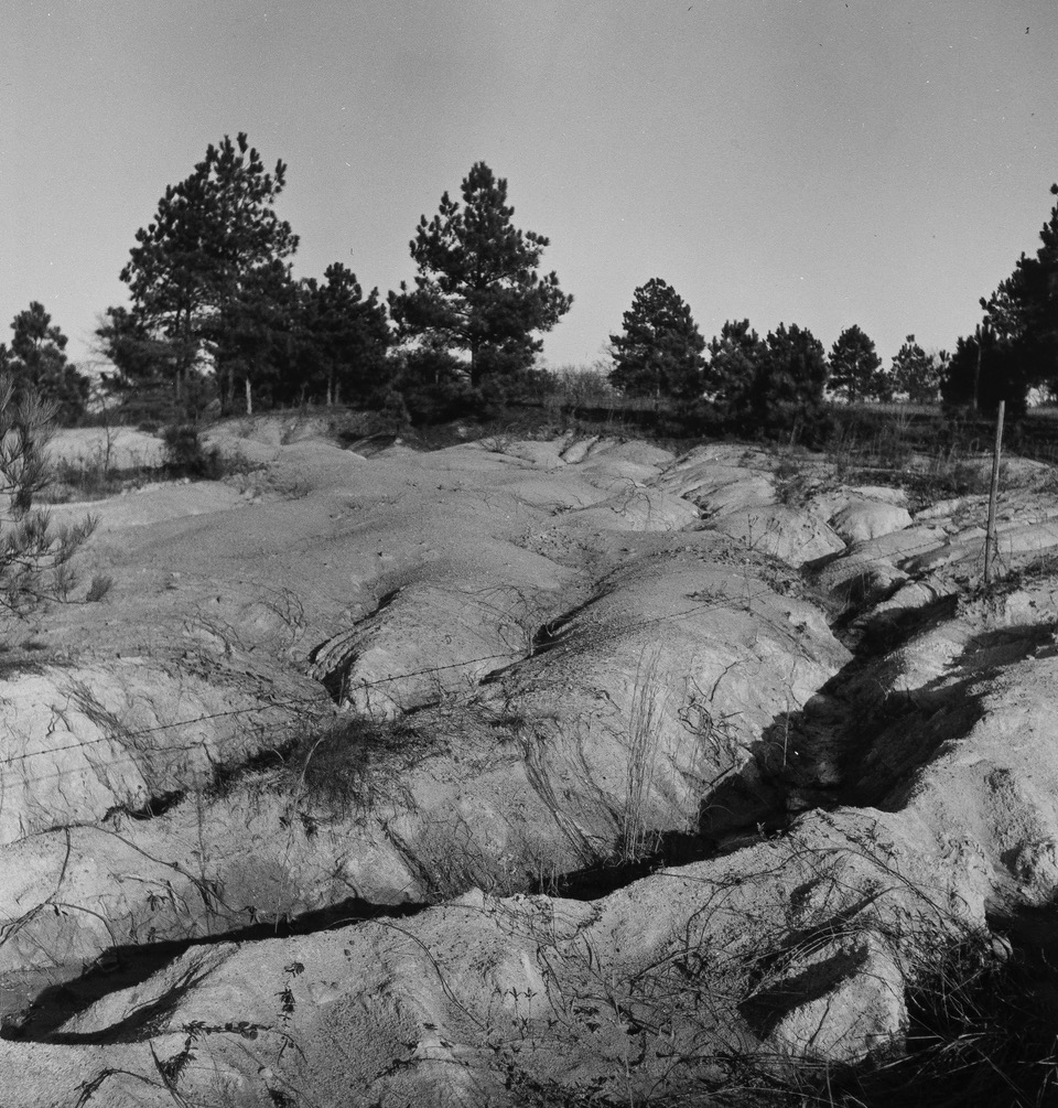 Marion Post Wolcott (1910 - 1990). Soil erosion gullies on farm in Caswell County, North Carolina. Caswell County, North Carolina. October 1940.
