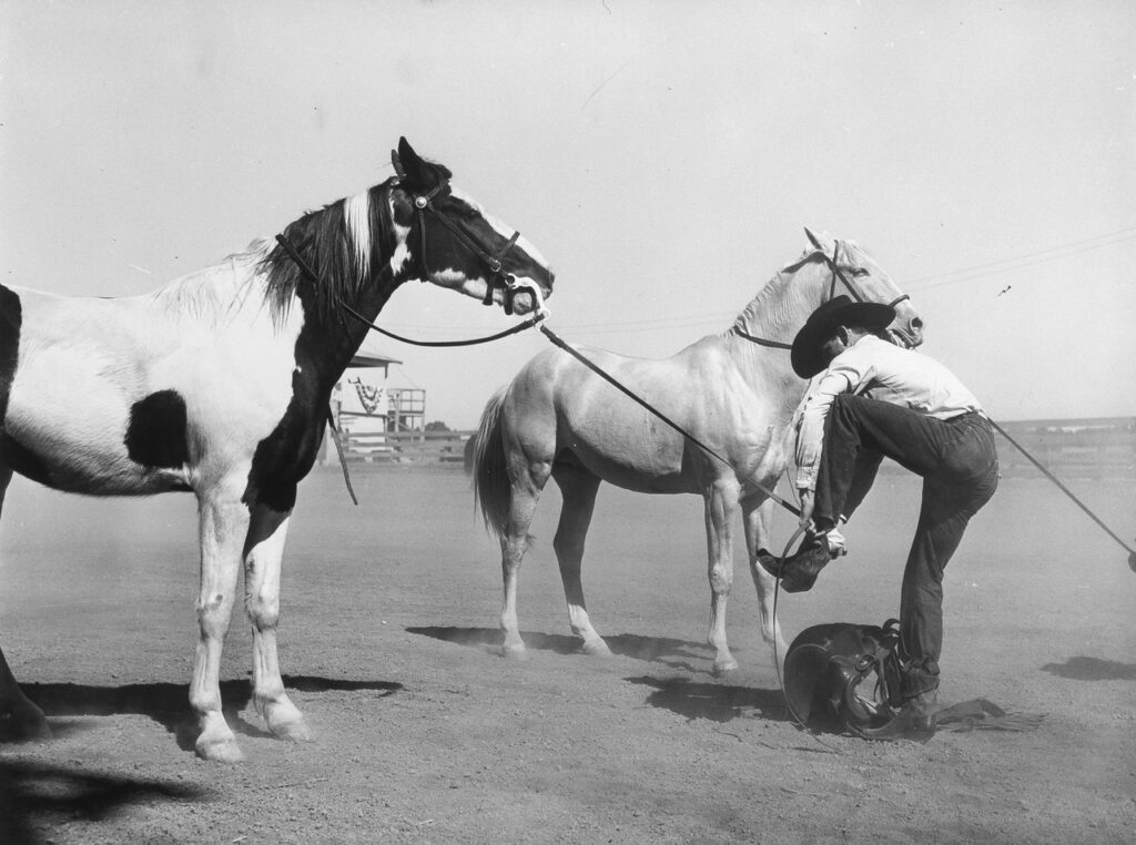 Russell Lee (1903 - 1986). Part of the novelty race at the Imperial county fair. El Centro, California. March 1942.