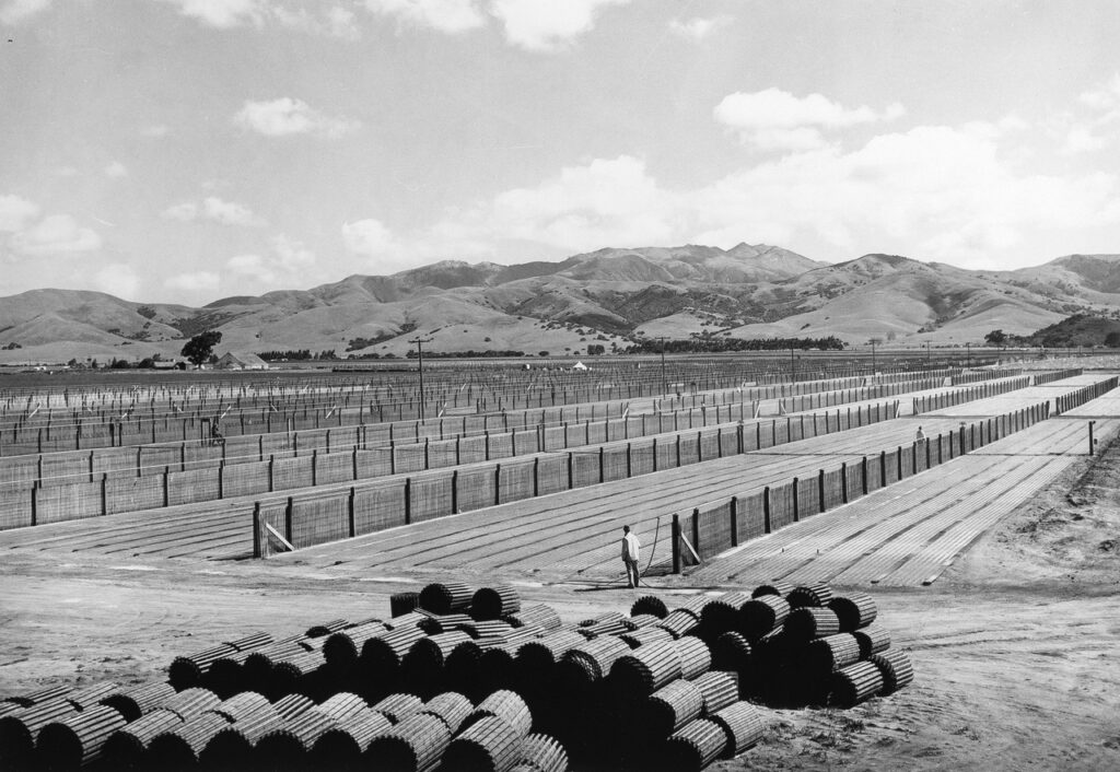 Russell Lee (1903 - 1986). Guayule nursery, Snow fencing in the foreground will be used for windbreak in the nursery. Salinas, California. May 1942. Gift of Jane Korntued Deome.