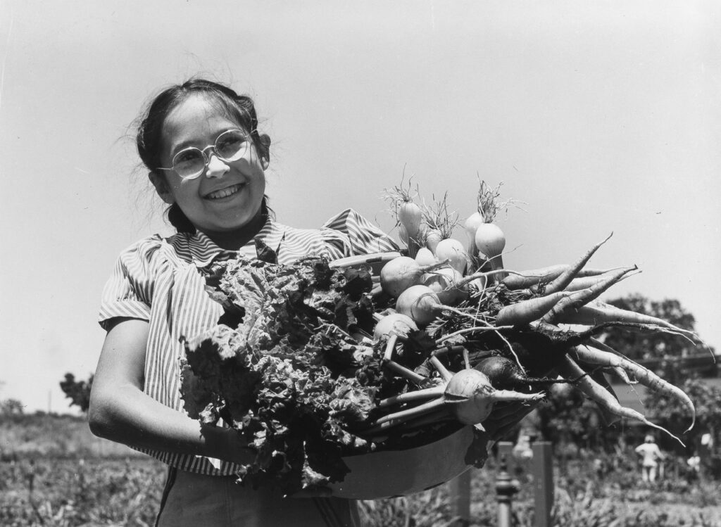 Russell Lee (1903 - 1986). Marilee-Ann Simpson holding a pan of vegetables freshly gathered from her family's garden at the Farm security administration migratory workers' camp. Yuba City, California. June 1942.