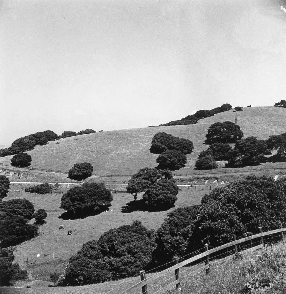 Russell Lee (1903 - 1986). Low hills. San Benito county, California. May 1942. Gift of La Verta Zarnowski, Salinas, CA.