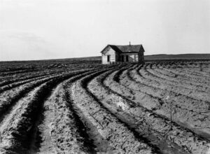 Dorothea Lange (1895 - 1965). Power farming displaces tenants from the land in the western dry cotton area. Childress County, Texas Panhandle. June 1938. Gift of Mr. Bill Samuel, Monterey CA.