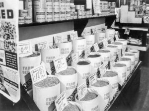 John Vachon (1914 - 1975). Seed store display. Marshalltown, Iowa. April 1940.