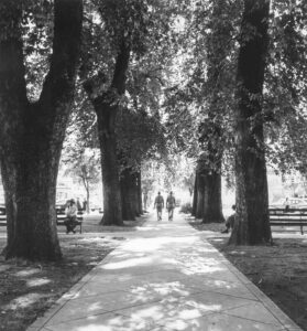 Russell Lee (1903 - 1986). City park. Chico, California. June 1942.