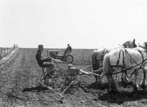 John Vachon (1914 - 1975). Using two-row horse-drawn corn planter. Grundy County, Iowa. April 1940.