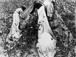 Ben Shahn (1898 - 1969). Cotton pickers, Pulaski County, Arkansas. Pulaski County, Arkansas. October 1935.