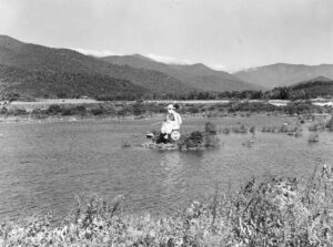Marion Post Wolcott (1910 - 1990). Coco Cola. General landscape near Black Mountain. Black Mountain, North Carolina. September 1939.