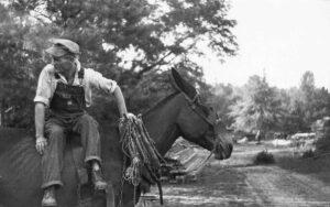 Walker Evans (1903 - 1975). Floyd Burroughs, on mule. Hale County, Alabama. Summer 1936.