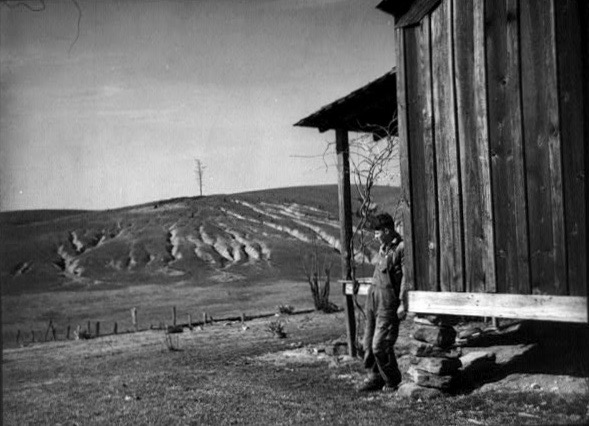 Arthur Rothstein (1915 - 1985). Eroded land on tenant's farm. Walker County, Alabama. February 1937.