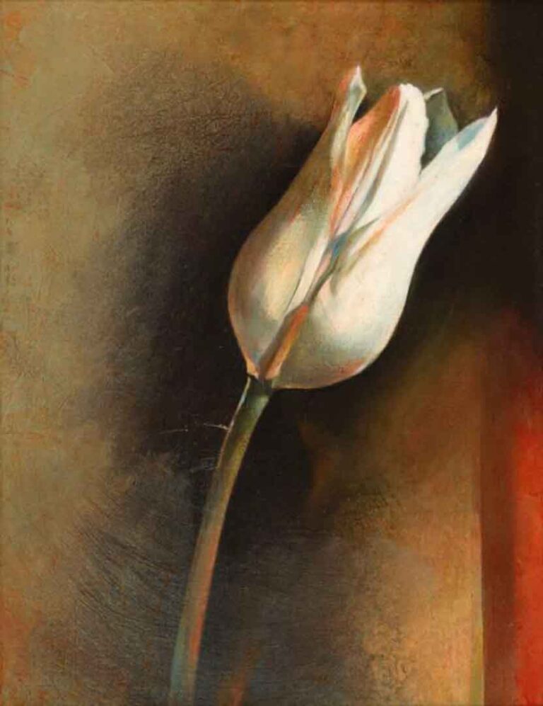 Susan Manchester Tulip, oil on canvas